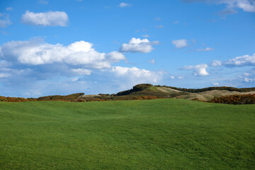 Obraz premium 弟子屈の広大な牧草地1