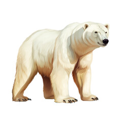 Polar bear isolated on a transparent background created with Generative AI technology