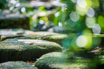 石と苔のイメージ