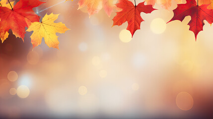Naklejka na ściany i meble web banner design for autumn season and end year activity with red and yellow maple leaves with soft focus light and bokeh background