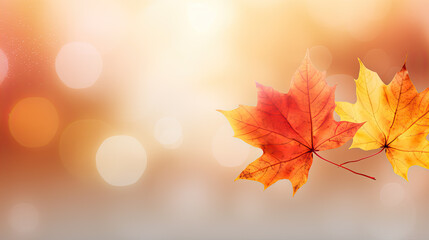 web banner design for autumn season and end year activity with red and yellow maple leaves with soft focus light and bokeh background