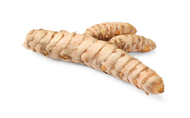 One fresh turmeric root isolated on white