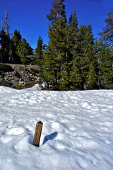 Buried trail maker peaking above snow in early spring central Sierra Nevada, California 