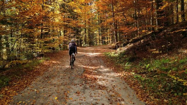 Drone shot of woman cyclist training outdoor. Cyclist riding a gravel bike through autumn forest. Gravel biking concept. Woman cyclist wearing cycling uniform and helmet. Off-road bike adventure.
