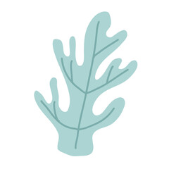 doodle seaweed colorful