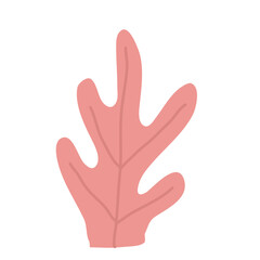 doodle seaweed colorful