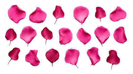Magenta flower petals isolated on a transparent background created with Generative AI technology