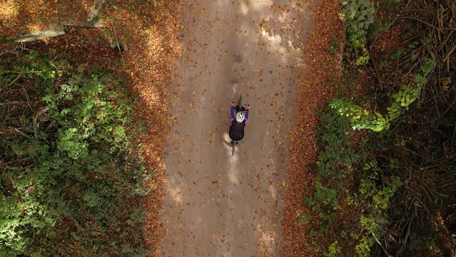 Drone shot of woman cyclist training outdoor. Cyclist riding a gravel bike through autumn forest. Gravel biking concept. Woman cyclist wearing cycling uniform and helmet. Off-road bike adventure.