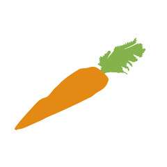 healthy carrots vector