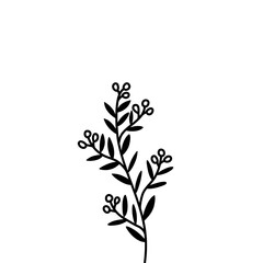 Fototapeta na wymiar Floral Branch in silhoutte style
