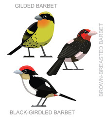 Cute Bird New World Barbet Set Cartoon Vector