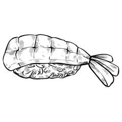 sushi salmon handdrawn illustration 