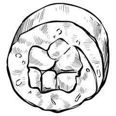 sushi salmon handdrawn illustration 