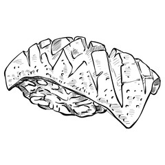 sushi salmon handdrawn illustration 