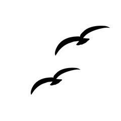 Flying bird silhouette