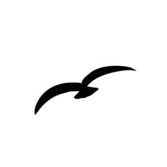 Naklejka premium Flying bird silhouette