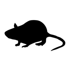 Mouse silhouette