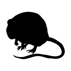 Mouse silhouette