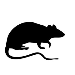 Mouse silhouette