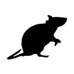 Mouse silhouette