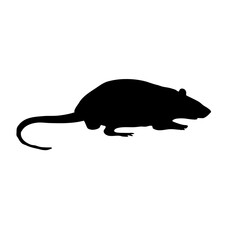 Mouse silhouette