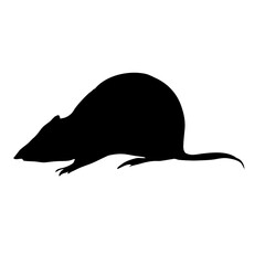 Mouse silhouette