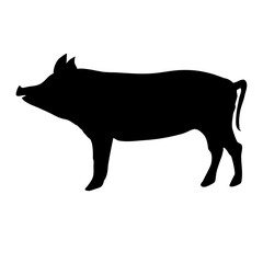 Pig silhouette