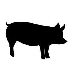 Pig silhouette