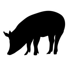 Pig silhouette