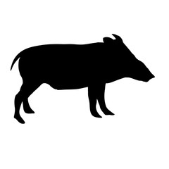 Pig silhouette
