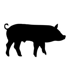 Pig silhouette
