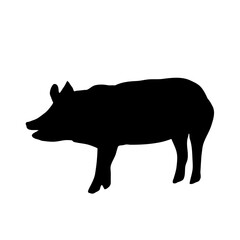 Pig silhouette