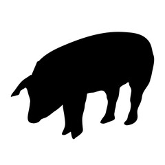 Pig silhouette