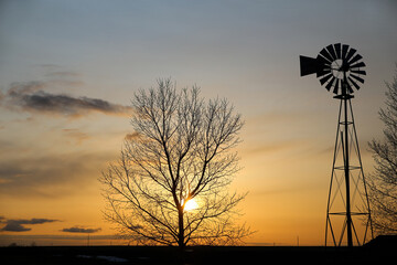 A silhouette of a windmill and tree