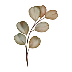 Watercolor Autumn Eucalyptus Leaf