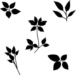 Silhouette of a leaf with a stem. Leaf vector design for illustration design needs