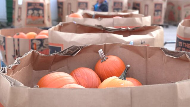 Boxes of pumpkins at the country mill. 