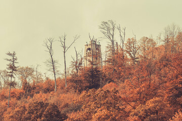 View on the autumn forest and the Bismark Tower - Bismarkturm in Bad Pyrmont, Lower Saxony - Germany. - obrazy, fototapety, plakaty
