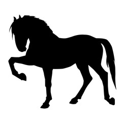 Silhouette of a horse running. Silhouette of a running stallion. 