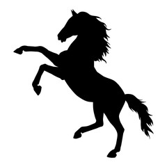 Silhouette of a horse standing on two hind legs. Silhouette of a stallion lifting front legs.