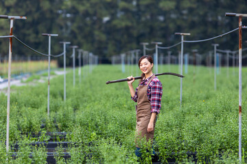 Portrait of Asian gardener woman holding garden fork while working in chrysanthemum farm for cut flower business concept