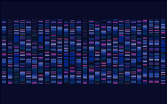 Background of abstract genetic map storage ,gathering and organizing data ,examining genetic data,genome map research