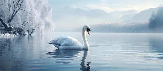 Poster Austrias Lake Zeller features a swan of white © 2rogan