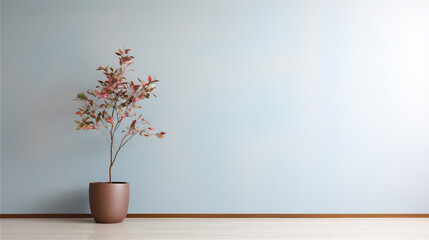 plain wall interior with sakura flower flower in pot on the edge of the wall