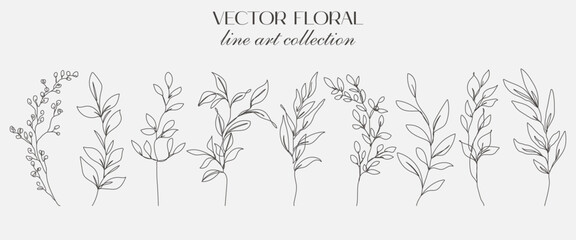 Set Of Plants, Flowers and Leaves Branches Line Art Drawing Black Sketch Isolated. Flowers One Line Illustration Collection for Minimalist Modern Design. Vector EPS 10 