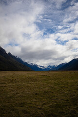 Fototapeta premium Eglinton Flats, Milford Highway in Fiordland