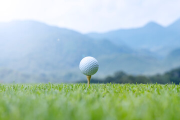 新緑が綺麗なゴルフ場