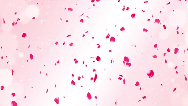 キラキラ背景と上から赤い花びらが舞う（ループ） 背景ピンク