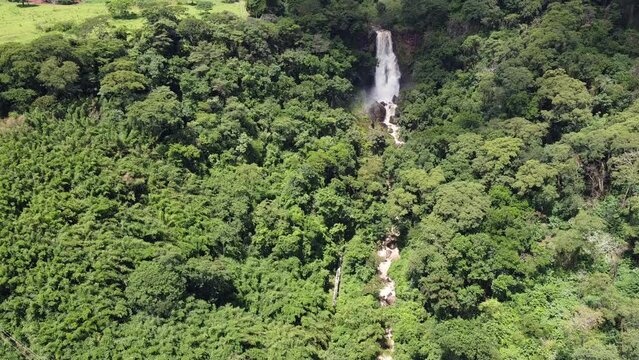 Cachoeira na mata