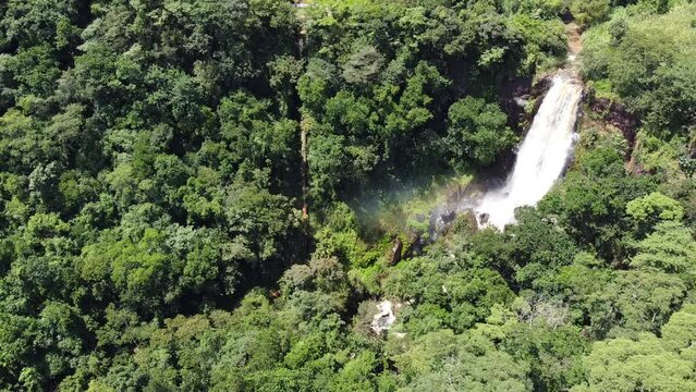 Cachoeira na mata